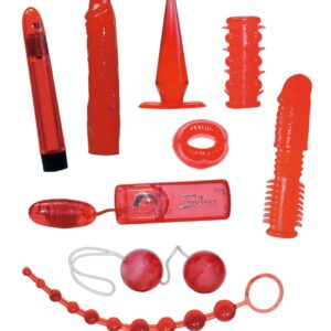 9-teiliges Toyset „Red Roses“ inklusive Batterien für die Vibro-Toys