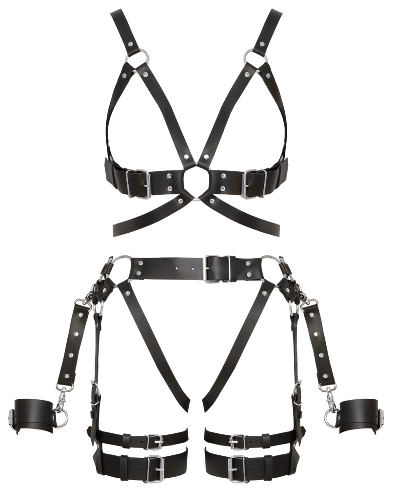 Harness-Set aus Leder