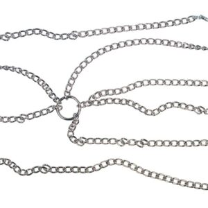 Nippelklammern „Nipple & Clit Clamps“ mit Halskette und Intimklammern